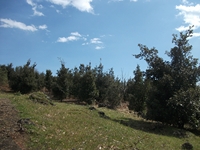 anobello-04032012 182